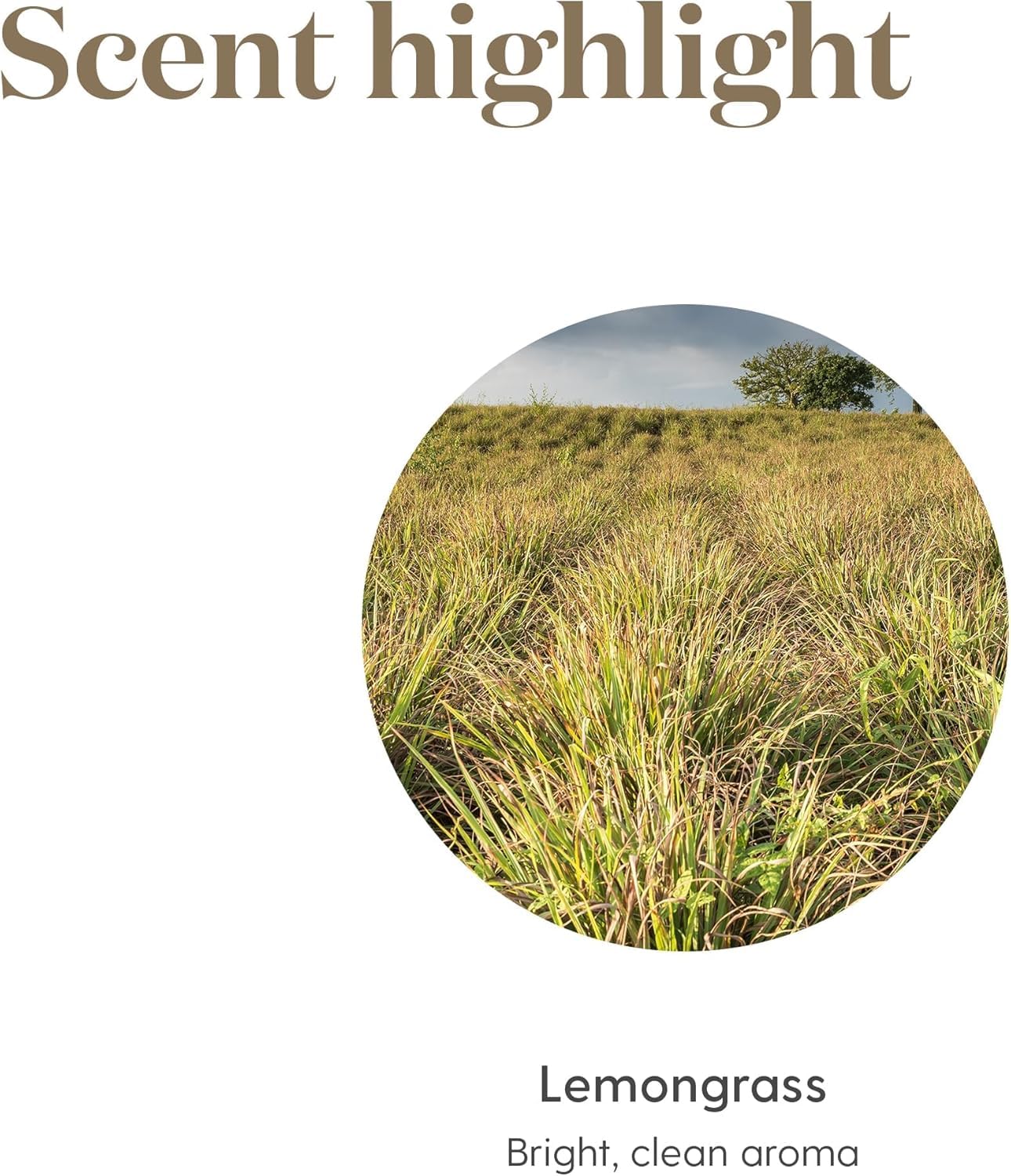 Young Living Citronela añade un toque cítrico a la limpieza del hogar.