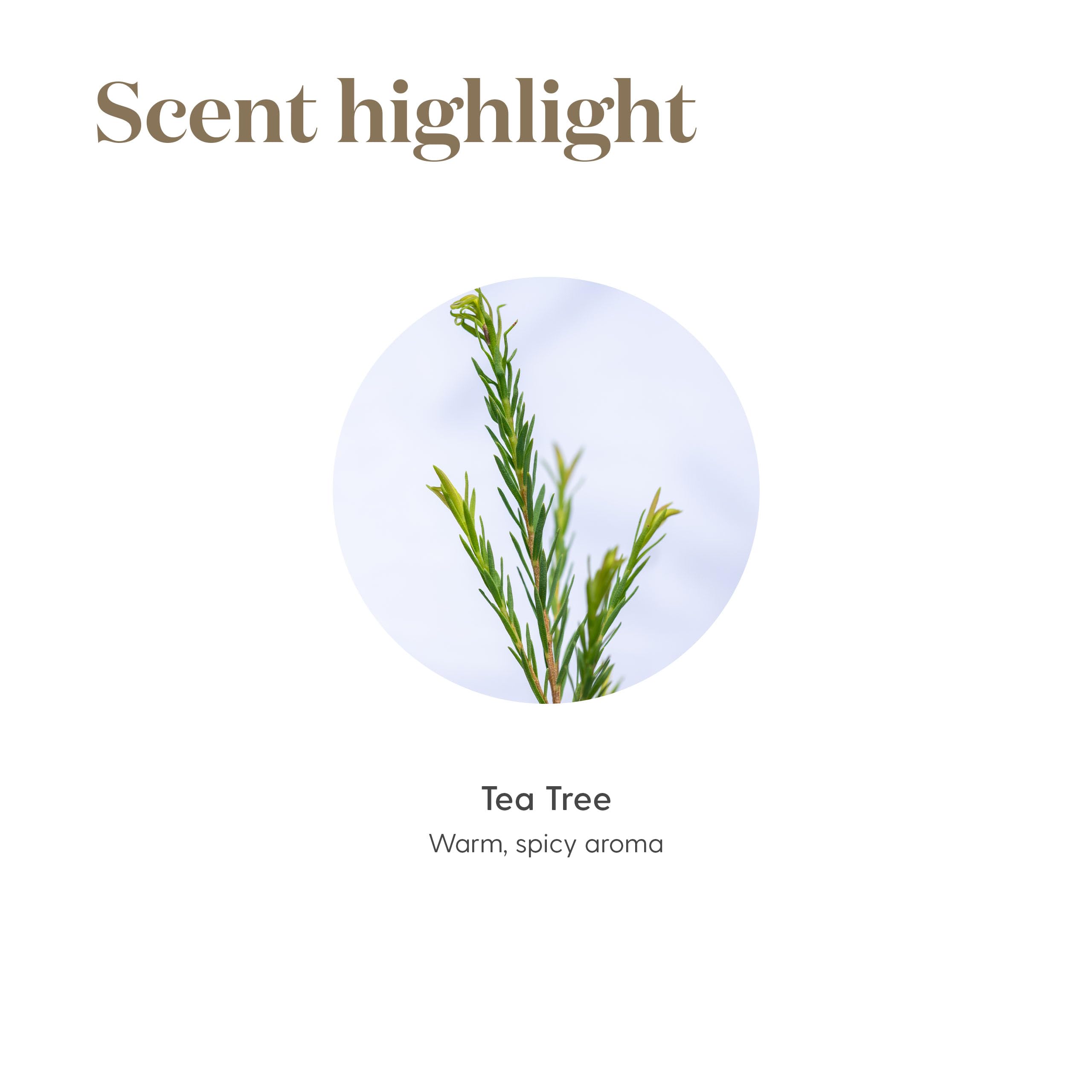 Aplicación en piel diluido para usos puntuales con Young Living.