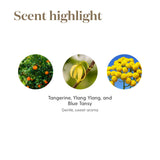 Young Living aromaterapia en el ambiente, infunde paz y bienestar.