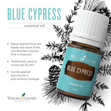 Aroma energizante de Blue Cypress para actividades al aire libre.