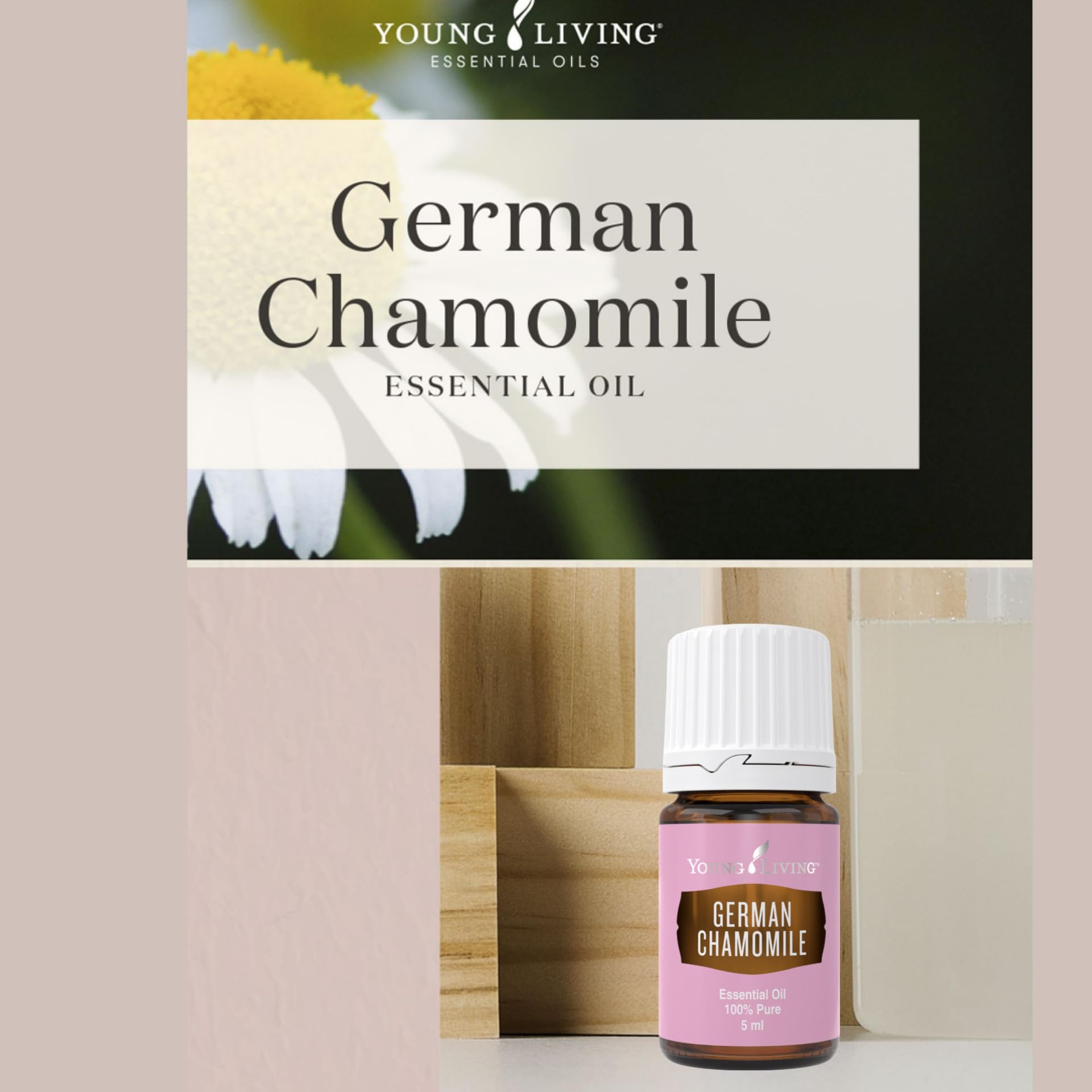 Young Living Camomila Alemana 5ml: aroma suave para meditacion y calma