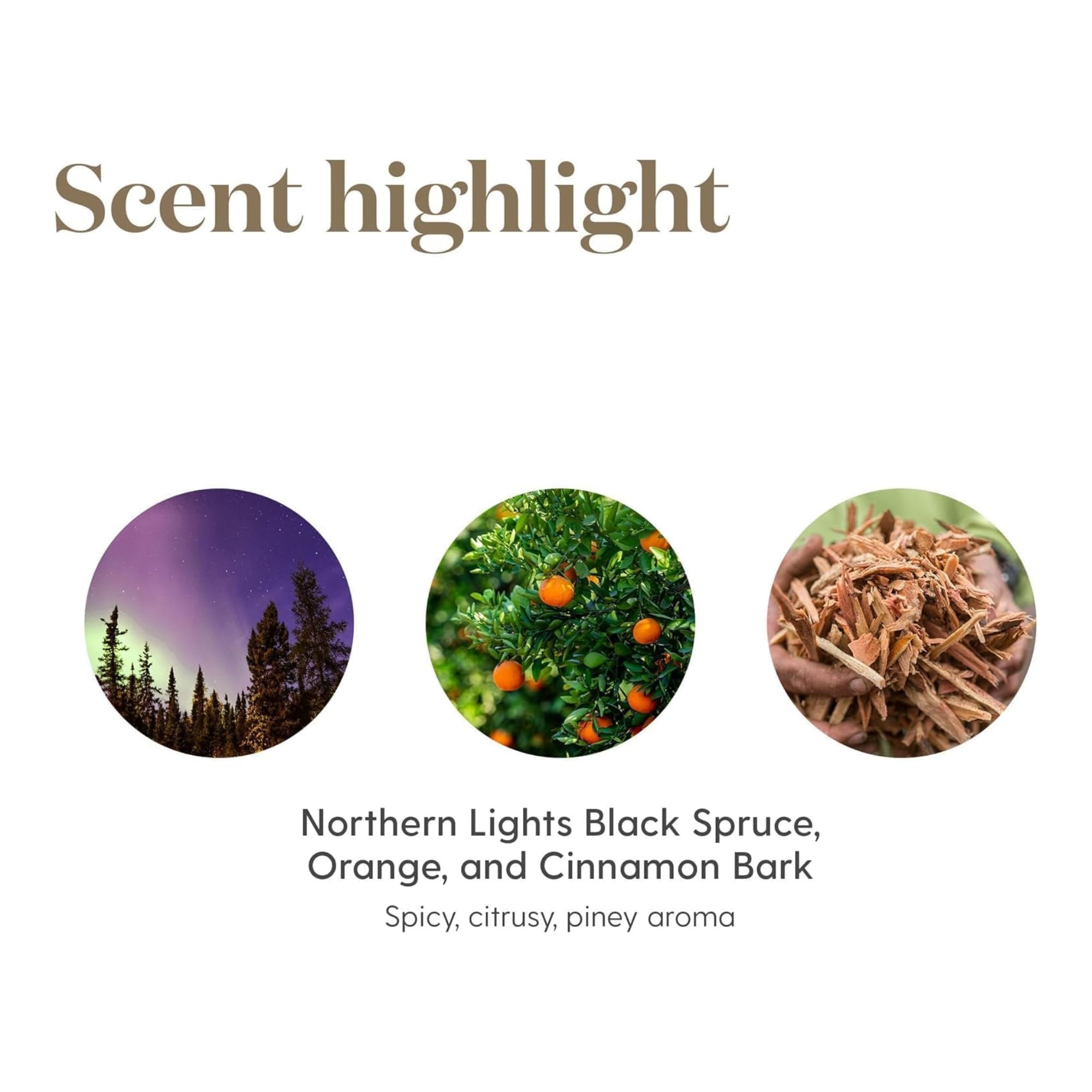Young Living Christmas Spirit envase-5ml para uso diario