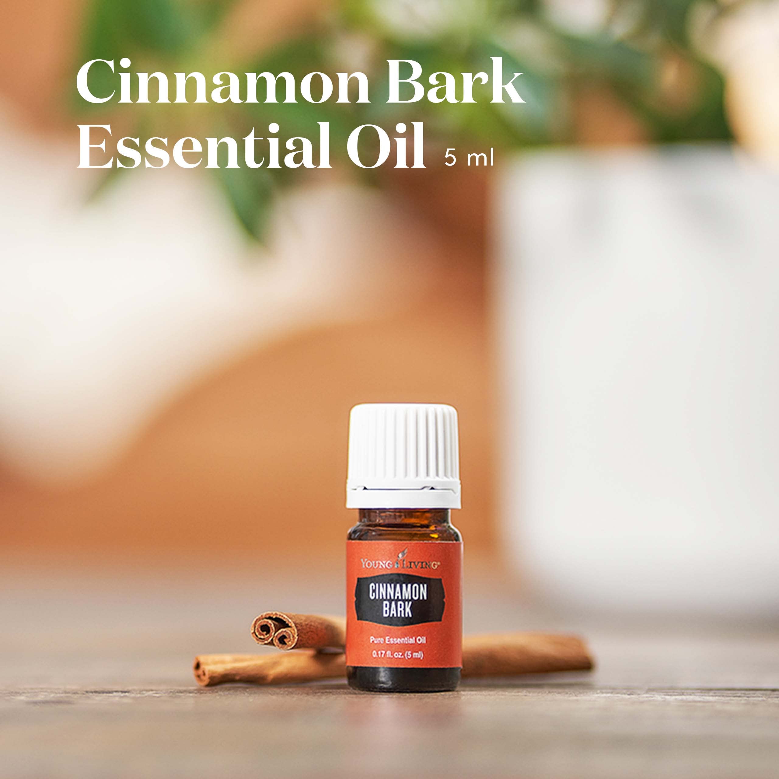 Young Living Cinnamon Bark, aroma cálido para crear ambiente en el salón