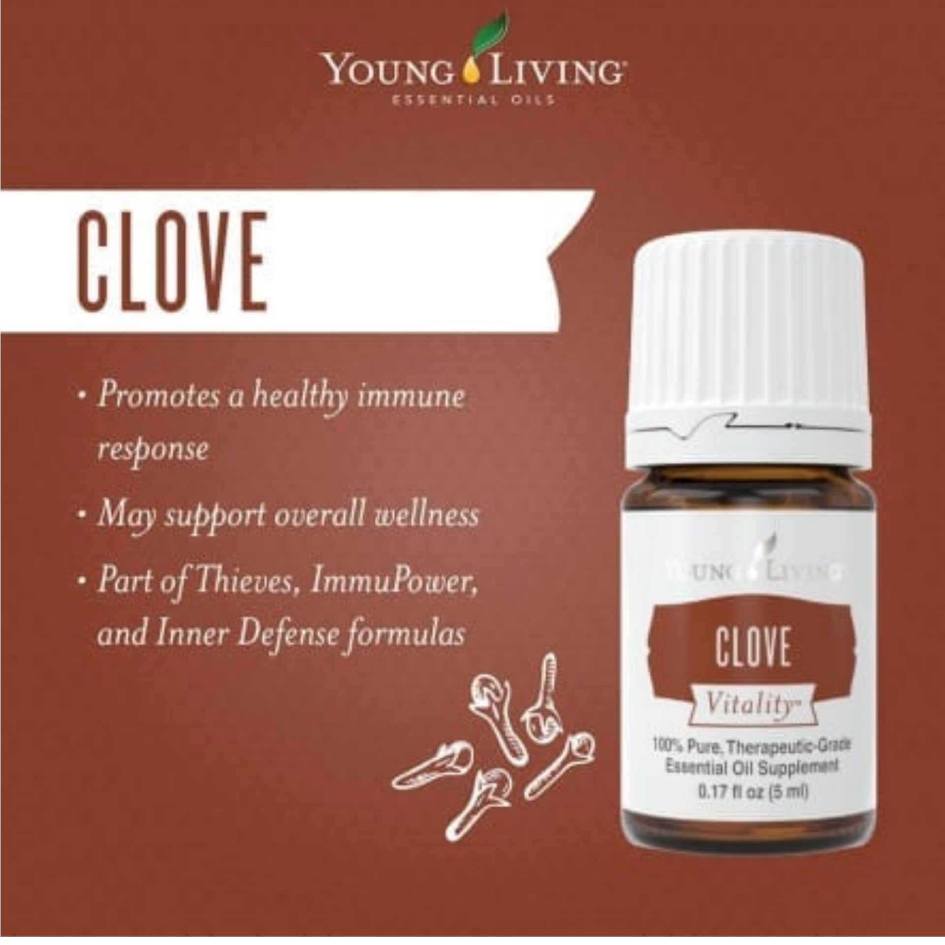 Young Living Clove Vitality: aroma intenso ideal para té e infusiones