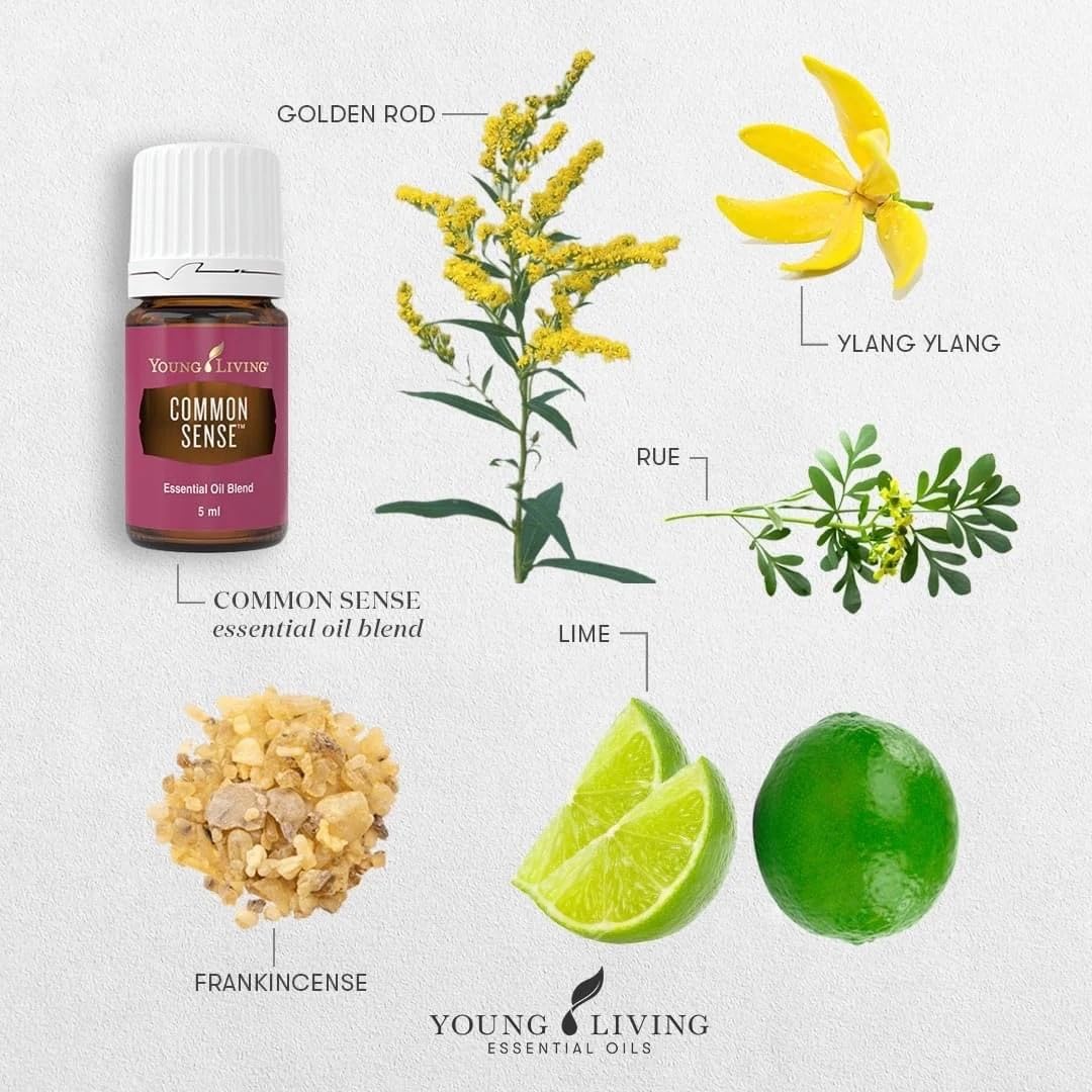 Young Living Common Sense, difusión suave para meditaciones y concentración