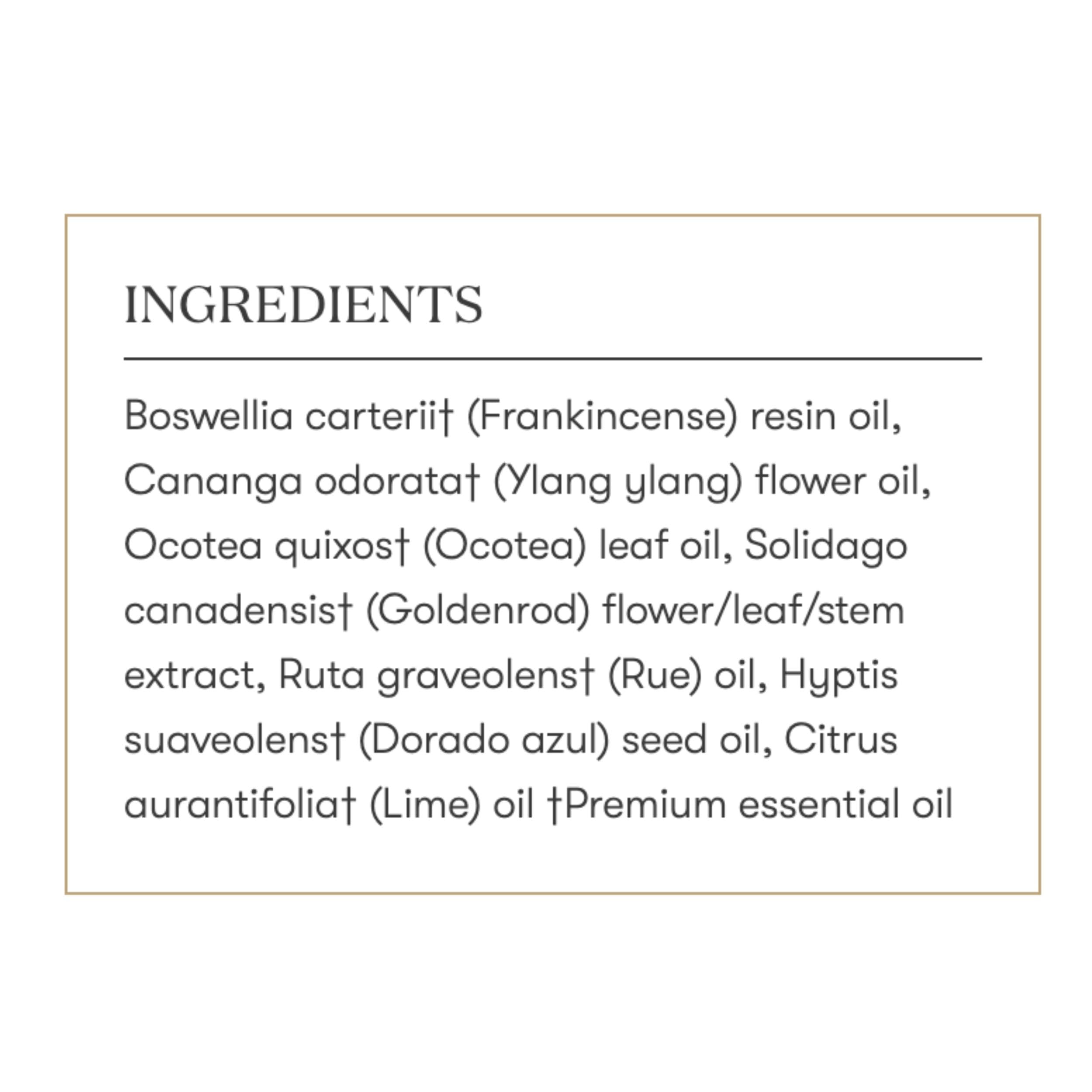 Young Living Common Sense en empaque de 5 ml para fácil dosificación