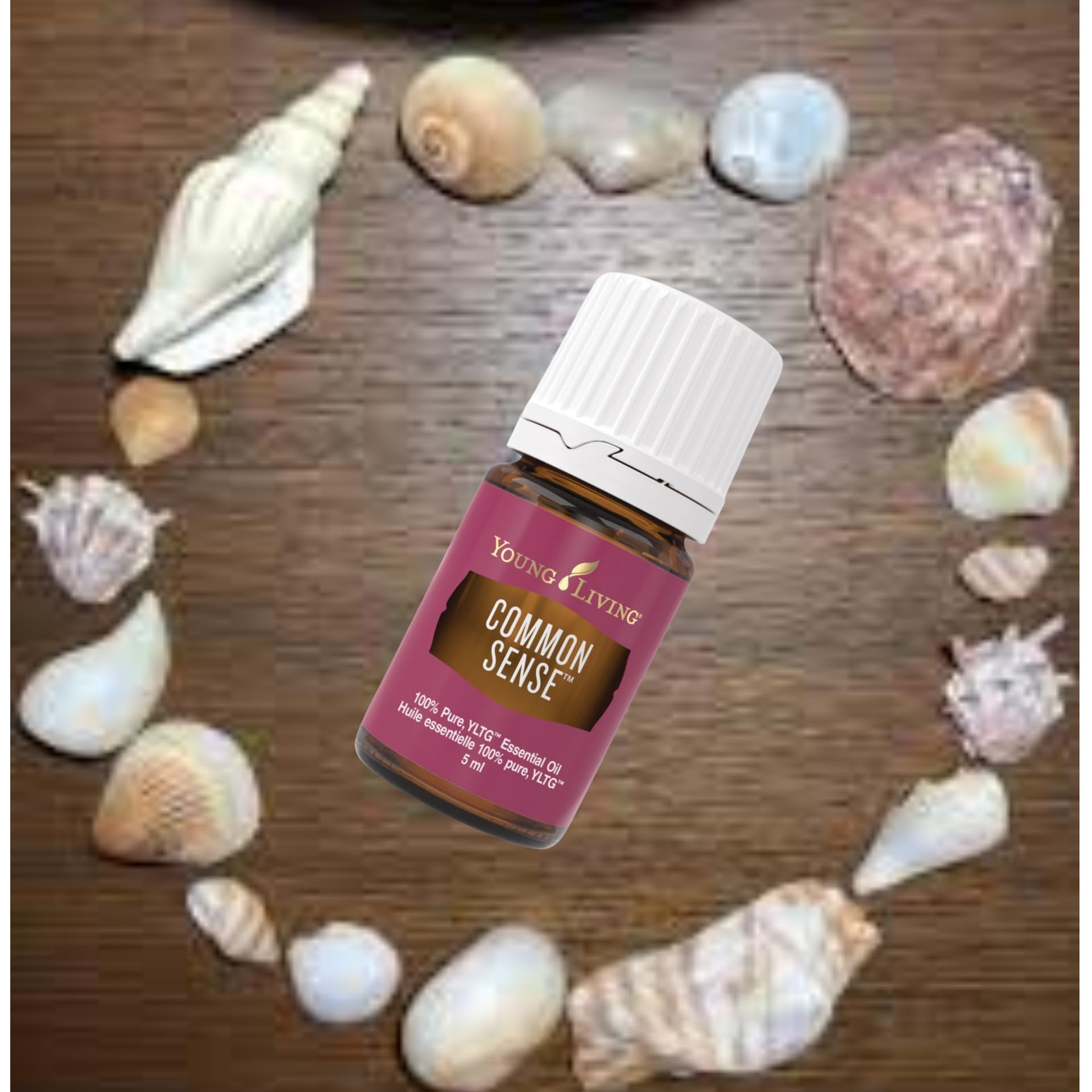 Young Living Common Sense proporciona enfoque cognitivo en momentos de trabajo