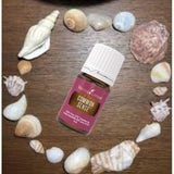 Young Living Common Sense proporciona enfoque cognitivo en momentos de trabajo