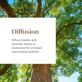 Copaiba Young Living de alta calidad extracción superior para pureza.
