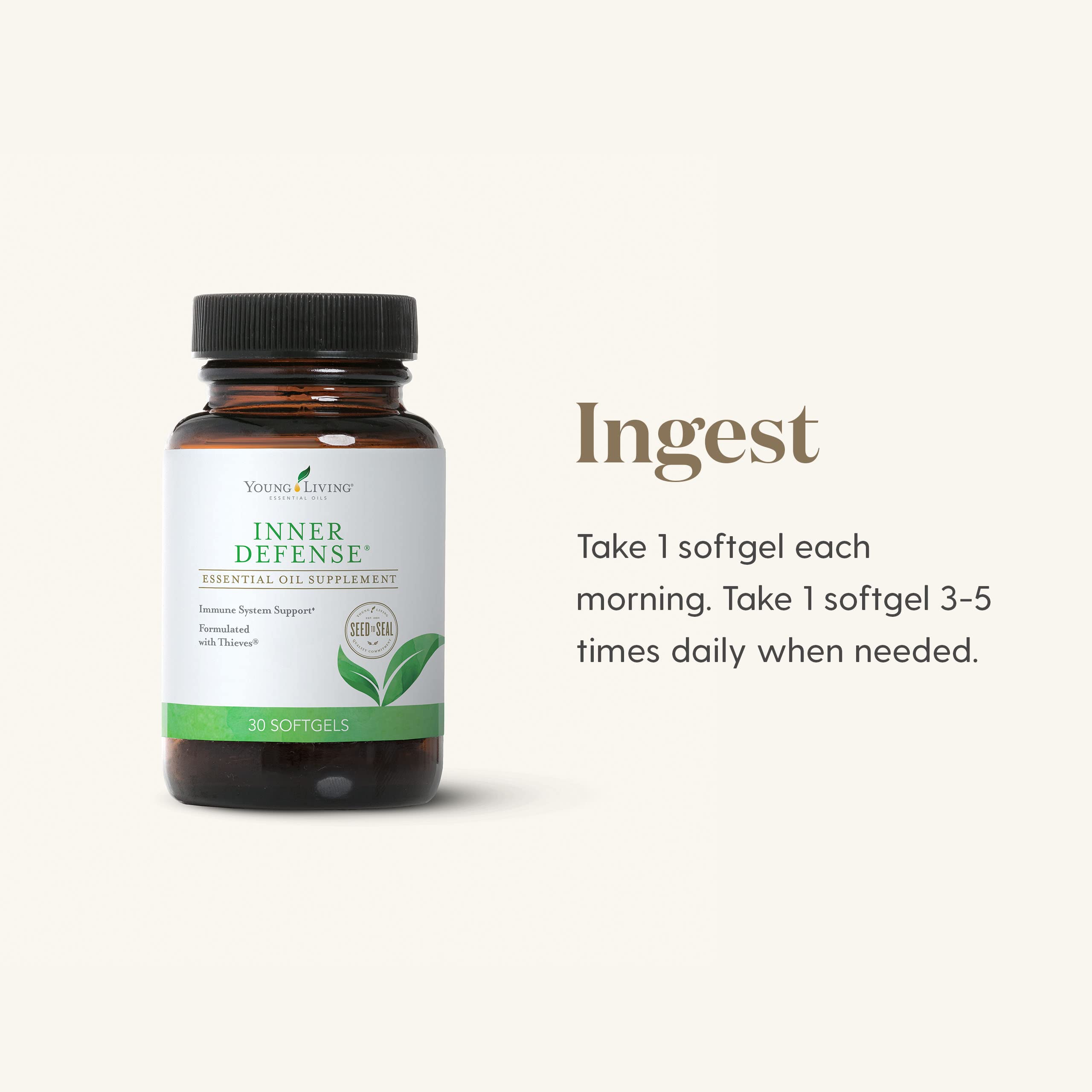 Detalle de orégano y tomillo, Young Living Defensa Interna.