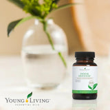 Young Living Defensa Interna, empaque compacto, ideal para viajes.