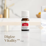 Young Living DiGize en masaje corporal suave para cuidado diario y confort abdominal.