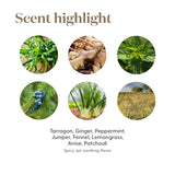 Young Living DiGize, rutina digestiva diaria para equilibrio.