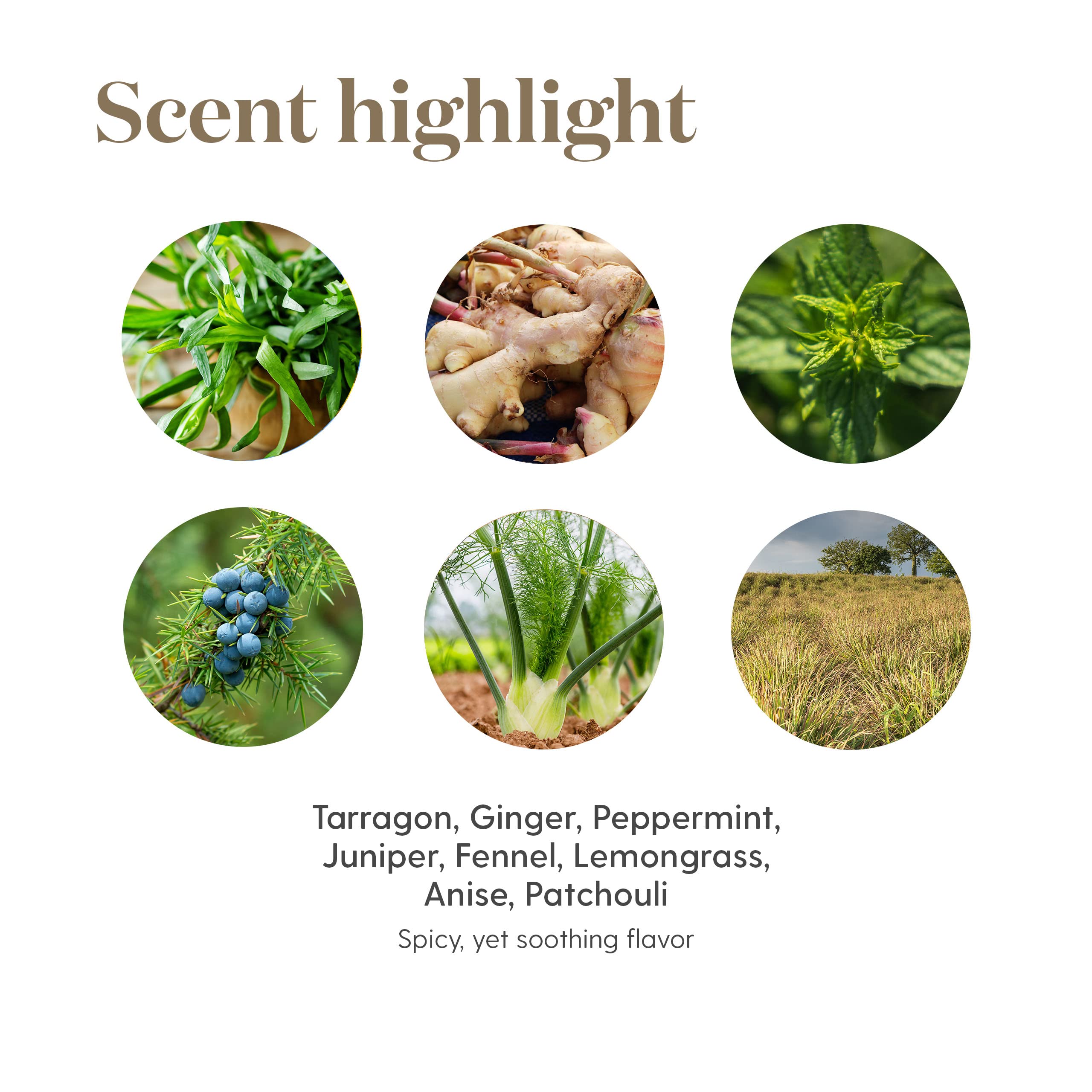 Young Living DiGize uso diario para apoyar rutinas de relajación y equilibrio.