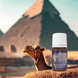 Young Living Egyptian Gold en aromaterapia para concentración y bienestar