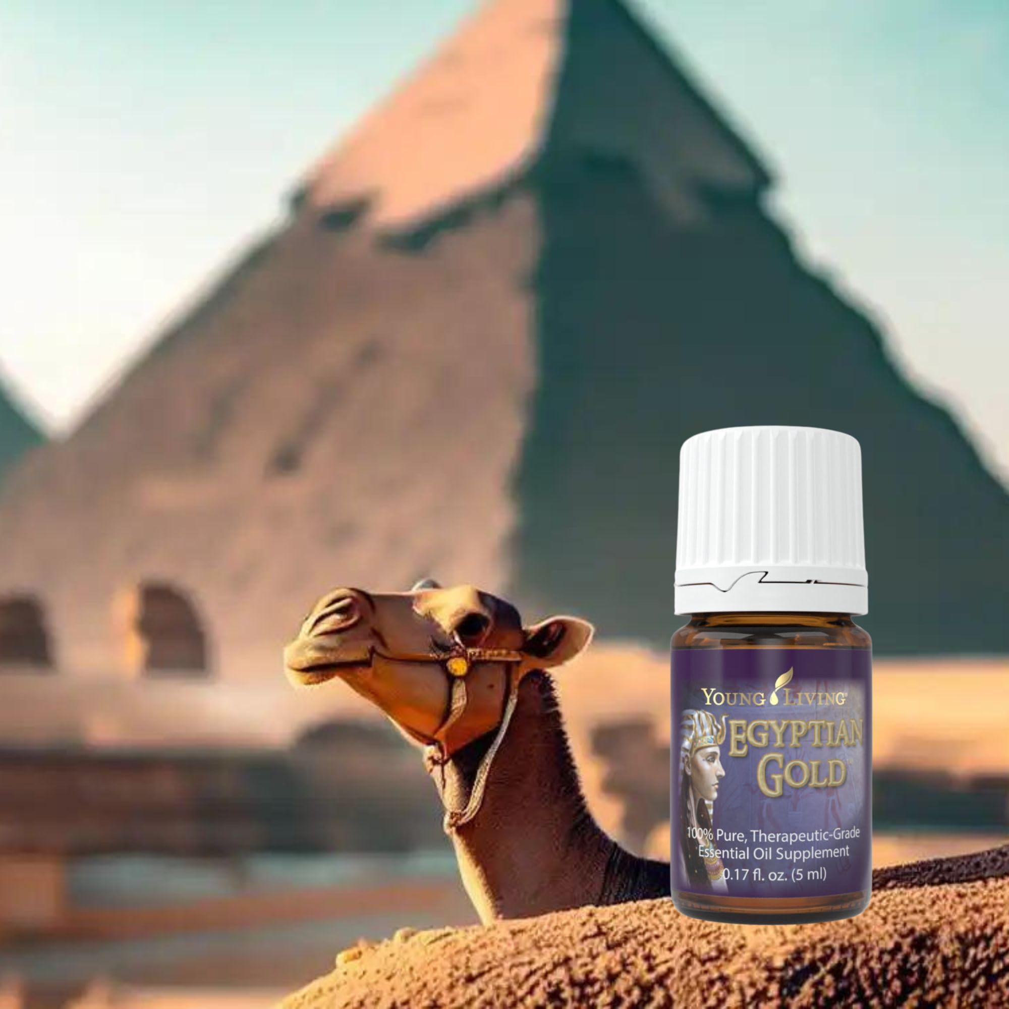 Young Living Egyptian Gold ritual meditacion, acompaña momentos de calma y enfoque interior.
