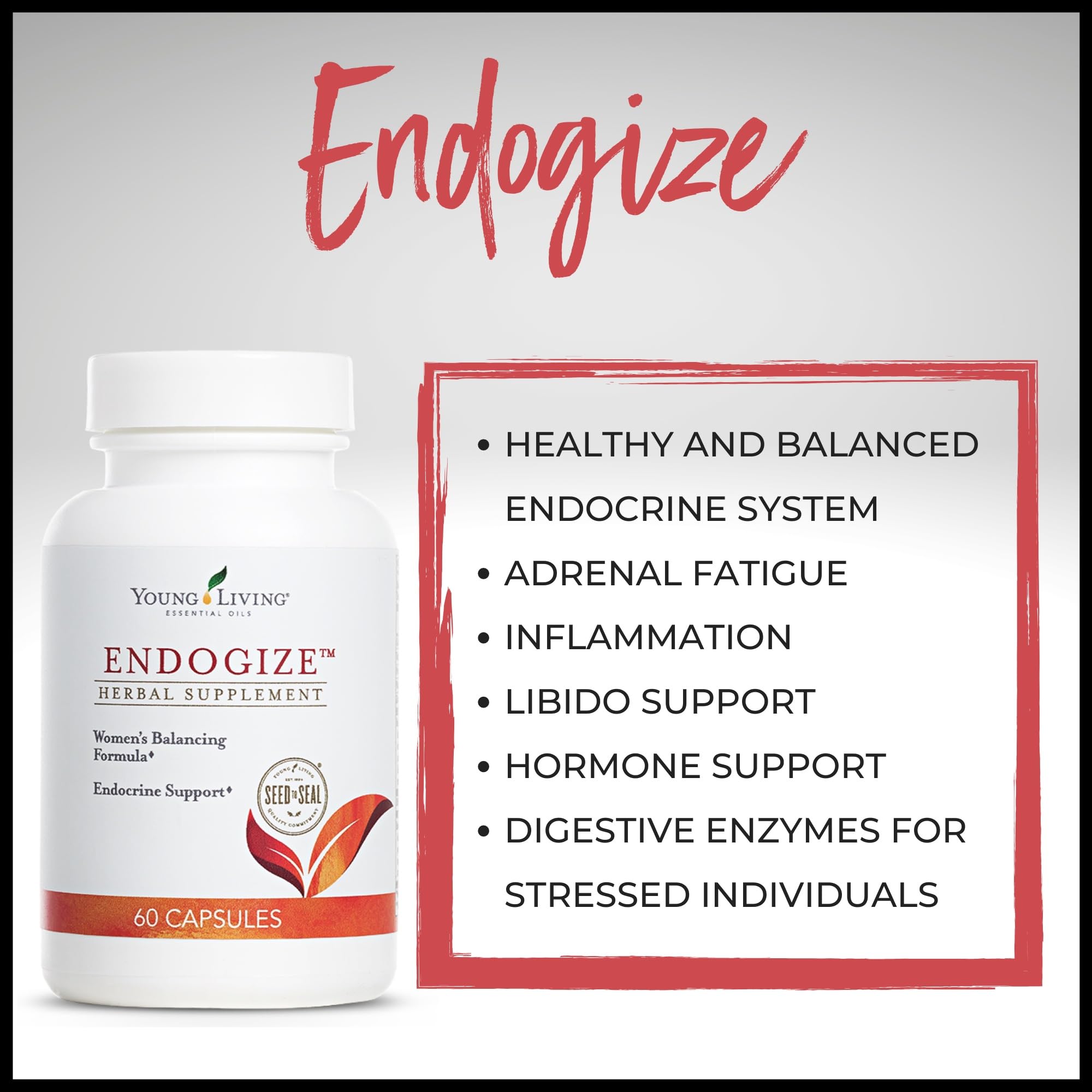Ingredientes herbolarios de EndoGize con aromas suaves para una experiencia agradable.
