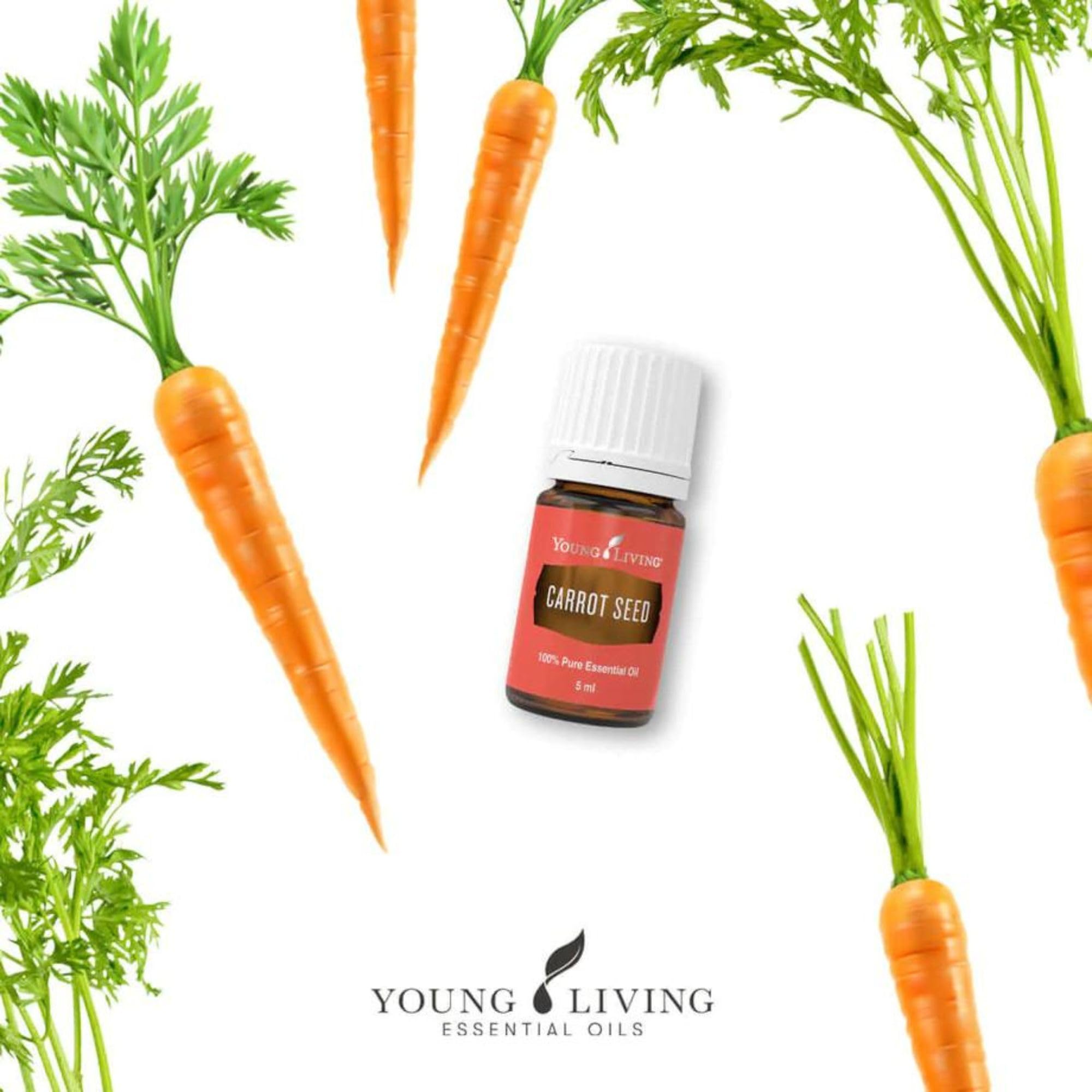 Envase oscuro de Young Living para conservar el aceite puro de Zanahoria.