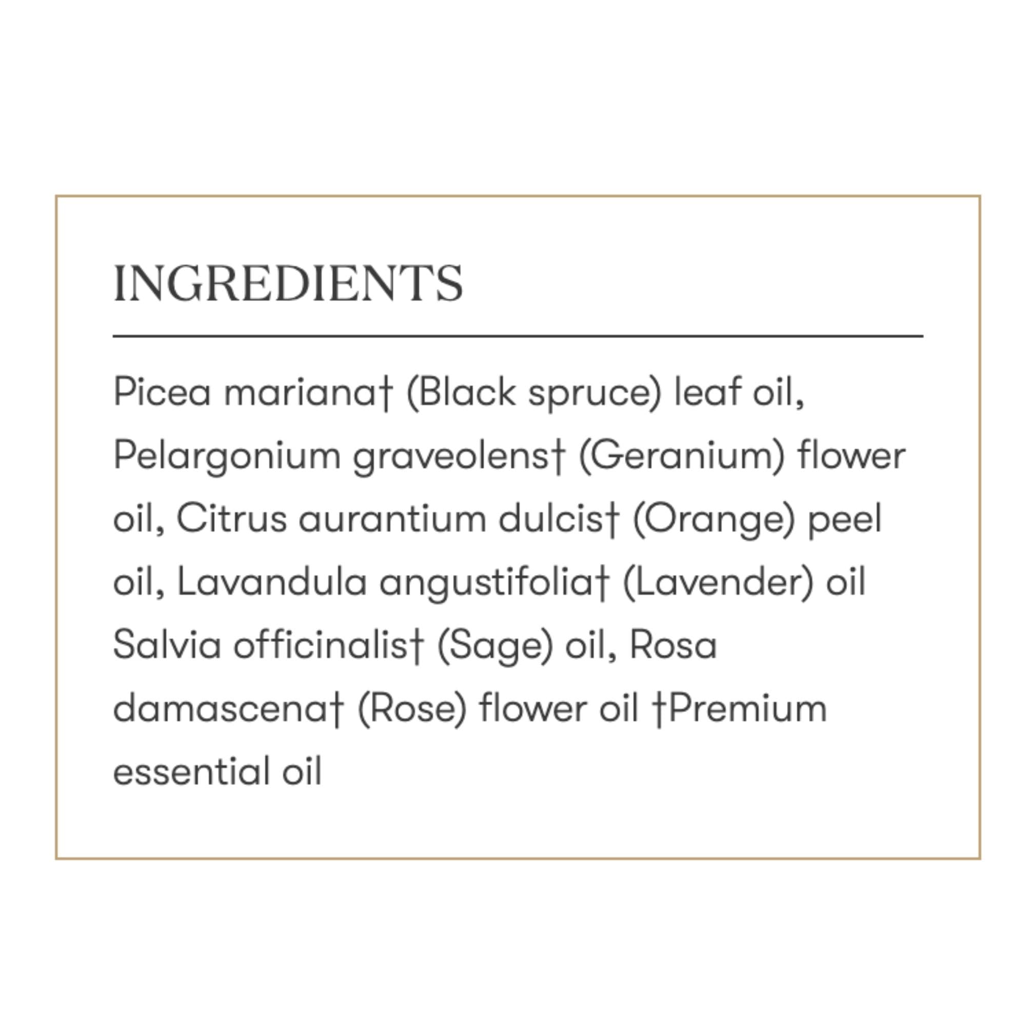 Young Living Envision ambiente-motivacion: aroma para inspiración en cualquier espacio.