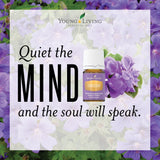 Young Living Envision momento-concentracion: uso práctico durante tareas creativas.