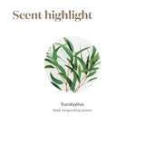 Young Living Eucalipto Radiata, sesión de masaje, aroma calmante para cuello y hombros.
