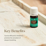 Young Living Eucalyptus Blue aroma fresco para momentos de relajación.