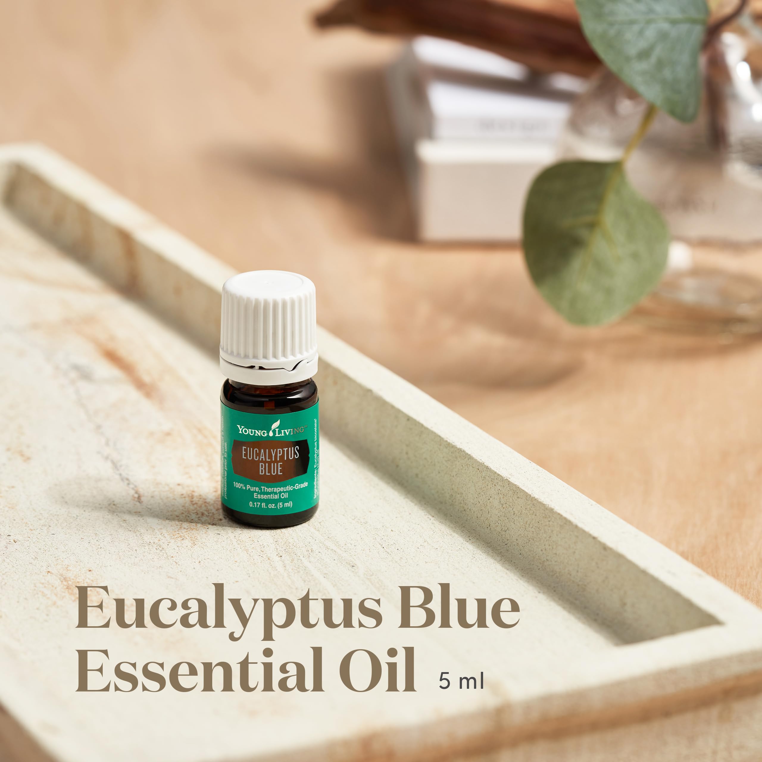 Young Living Eucalyptus Blue difusor en uso para ambiente vigorizante.