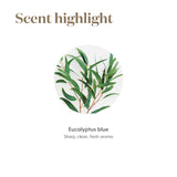 Young Living Eucalyptus Blue origen Finca Botánica en Ecuador.