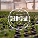 Young Living Incienso Sagrado: pureza Seed to Seal para uso seguro diario