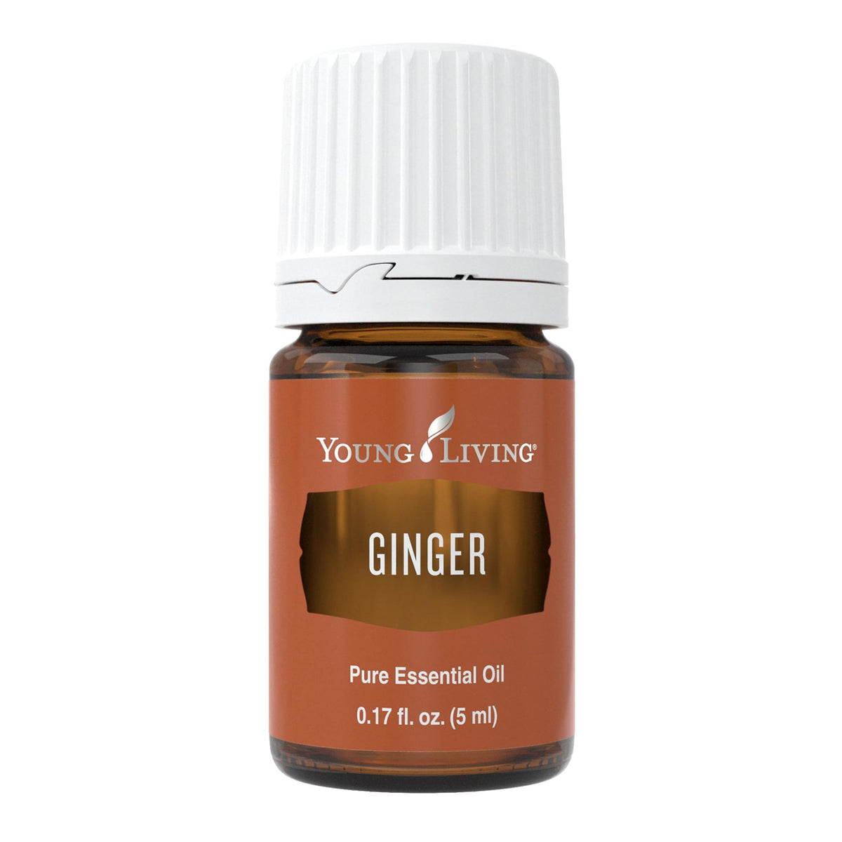 Young Living Ginger: botella de aceite esencial para uso diario y aroma cálido.