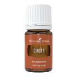 Young Living Ginger: botella de aceite esencial para uso diario y aroma cálido.