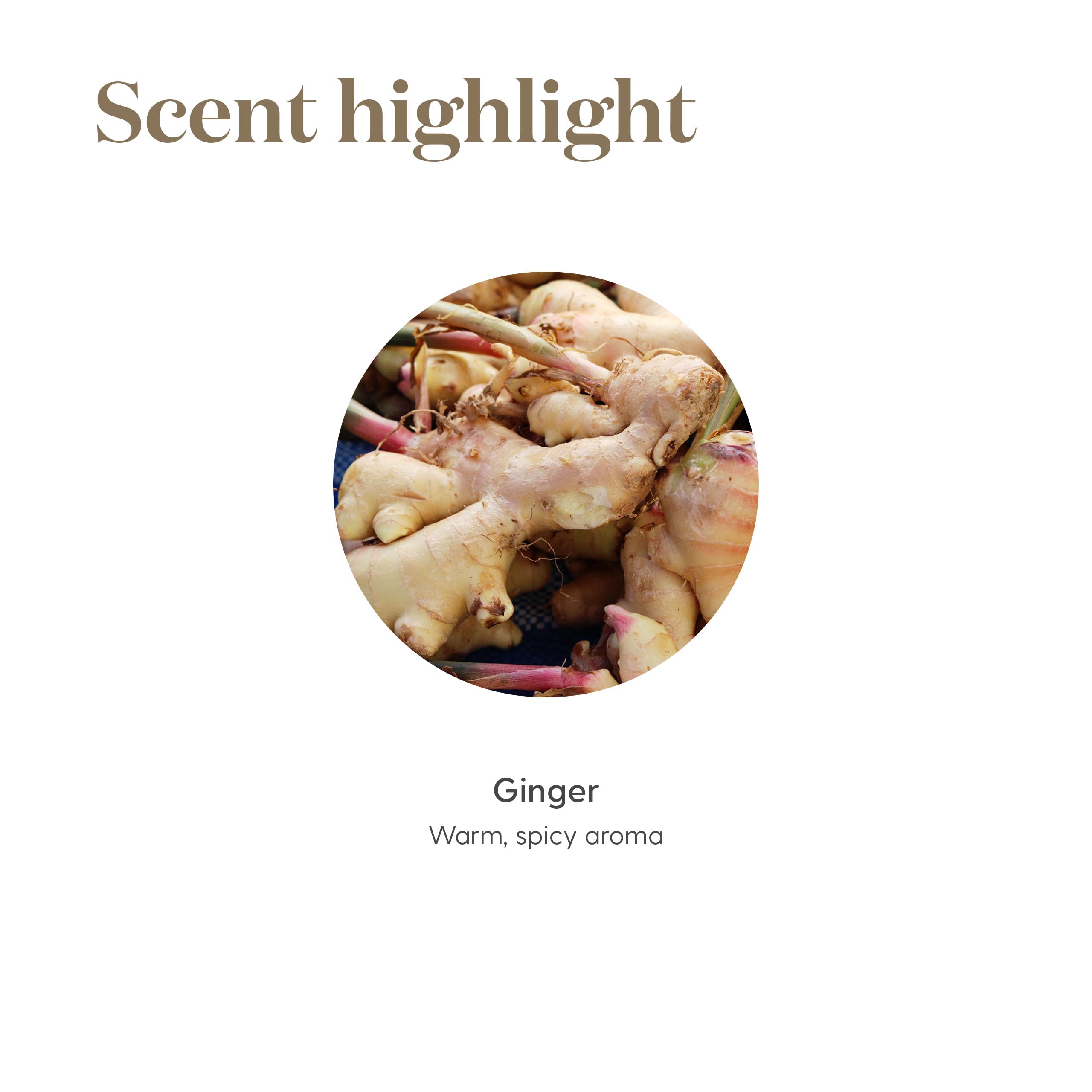 Young Living Ginger: aceite certificado y libre de crueldad para tranquilidad.