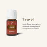 Young Living Ginger: masaje suave para relajación y bienestar.