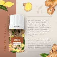 Young Living Ginger Vitality para aromaterapia en casa y relajación