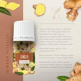 Young Living Ginger Vitality para aromaterapia en casa y relajación