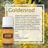 Young Living Goldenrod cuidado de la piel, añade a rutinas para sensación reconfortante