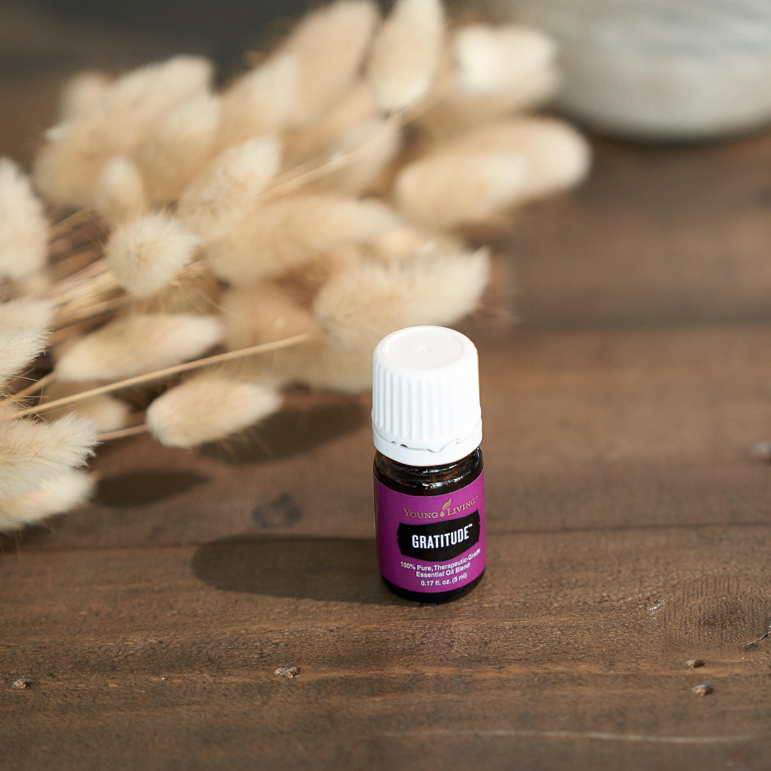 Young Living Gratitud, aroma cálido de incienso y mirra.