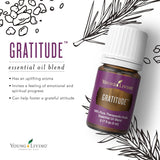 Young Living Gratitud, aplicación en masaje suave para bienestar diario.