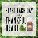 Young Living Gratitud, ritual relajante para entorno tranquilo durante la meditación.