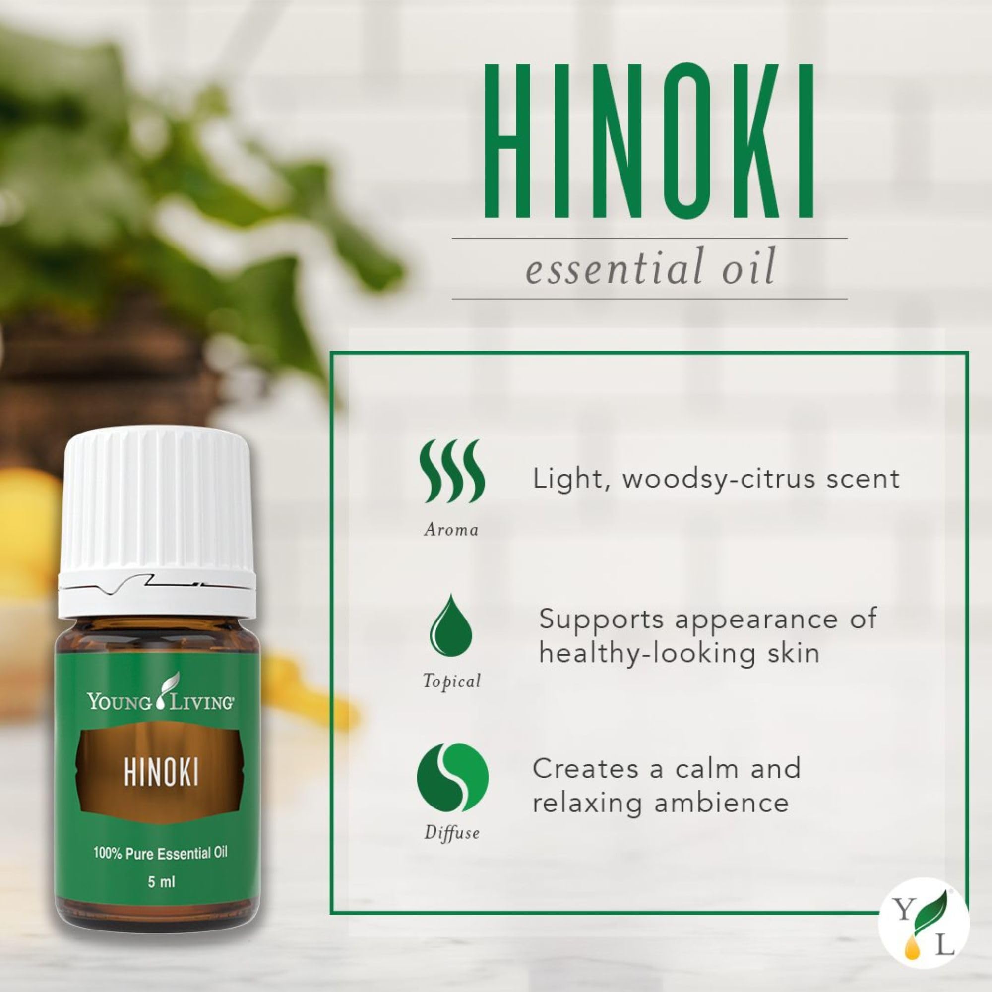 Hinoki de Young Living aporta aroma refrescante para un espacio sereno.