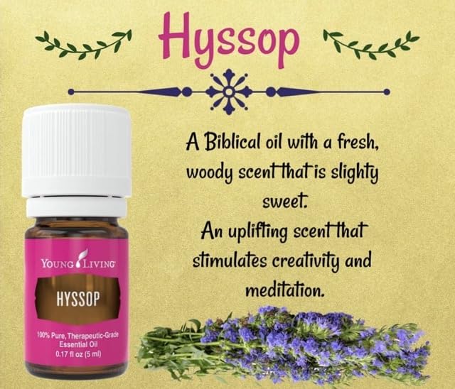 Gotas de Hyssop para difusor o uso tópico diluido.