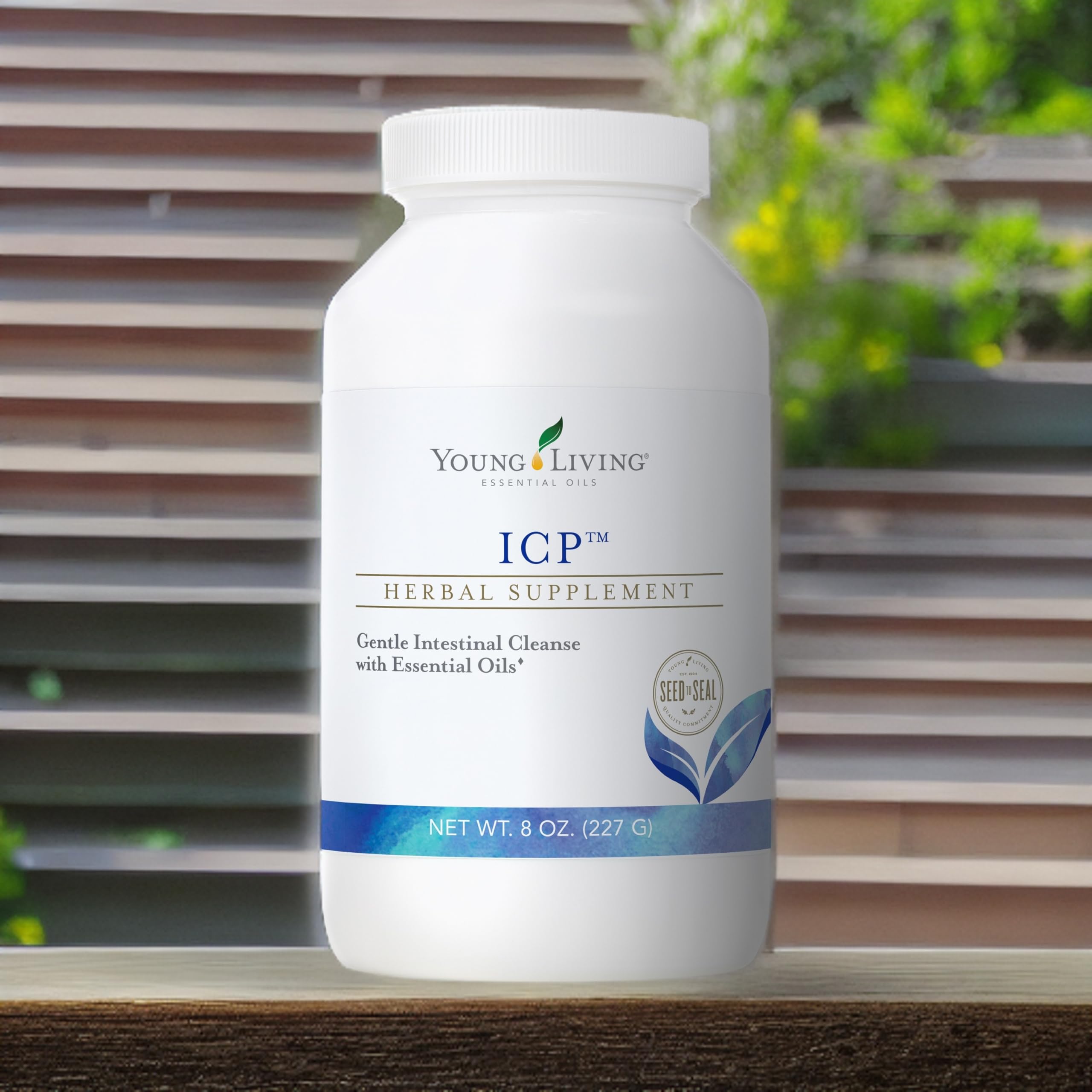 Young Living ICP 8oz: uso diario para adultos que buscan apoyo digestivo natural.