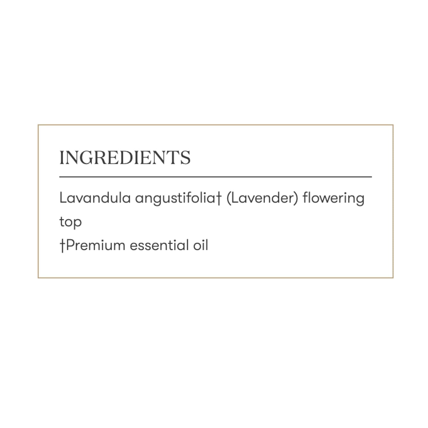Young Living Lavanda Esencial facilita aromaterapia en casa para calmar la mente.