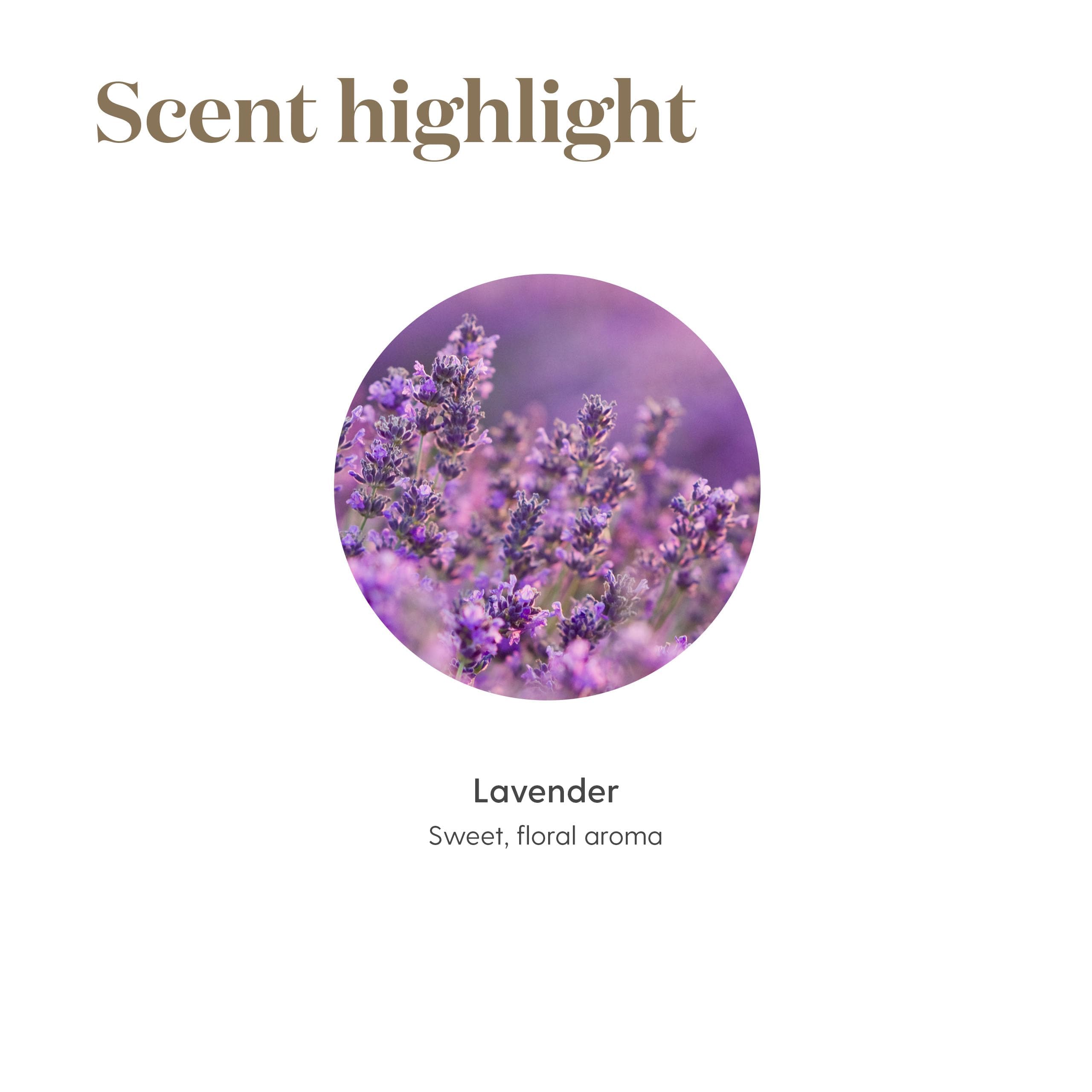 Young Living Lavanda, masaje suave para relajación muscular