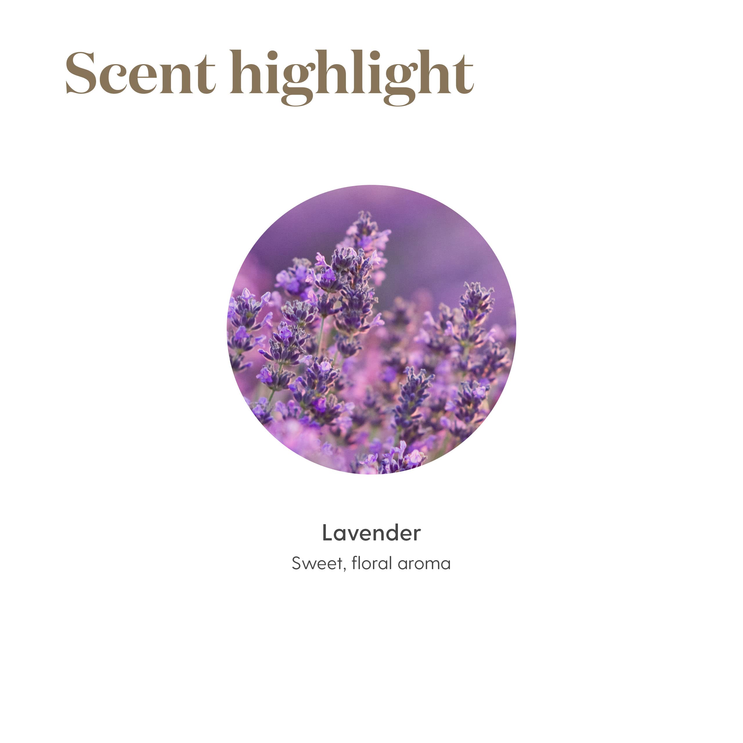 Presentación de 15 ml de lavanda Young Living, fácil de incorporar.