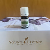 Bebidas refrescantes con Lime Vitality de Young Living.