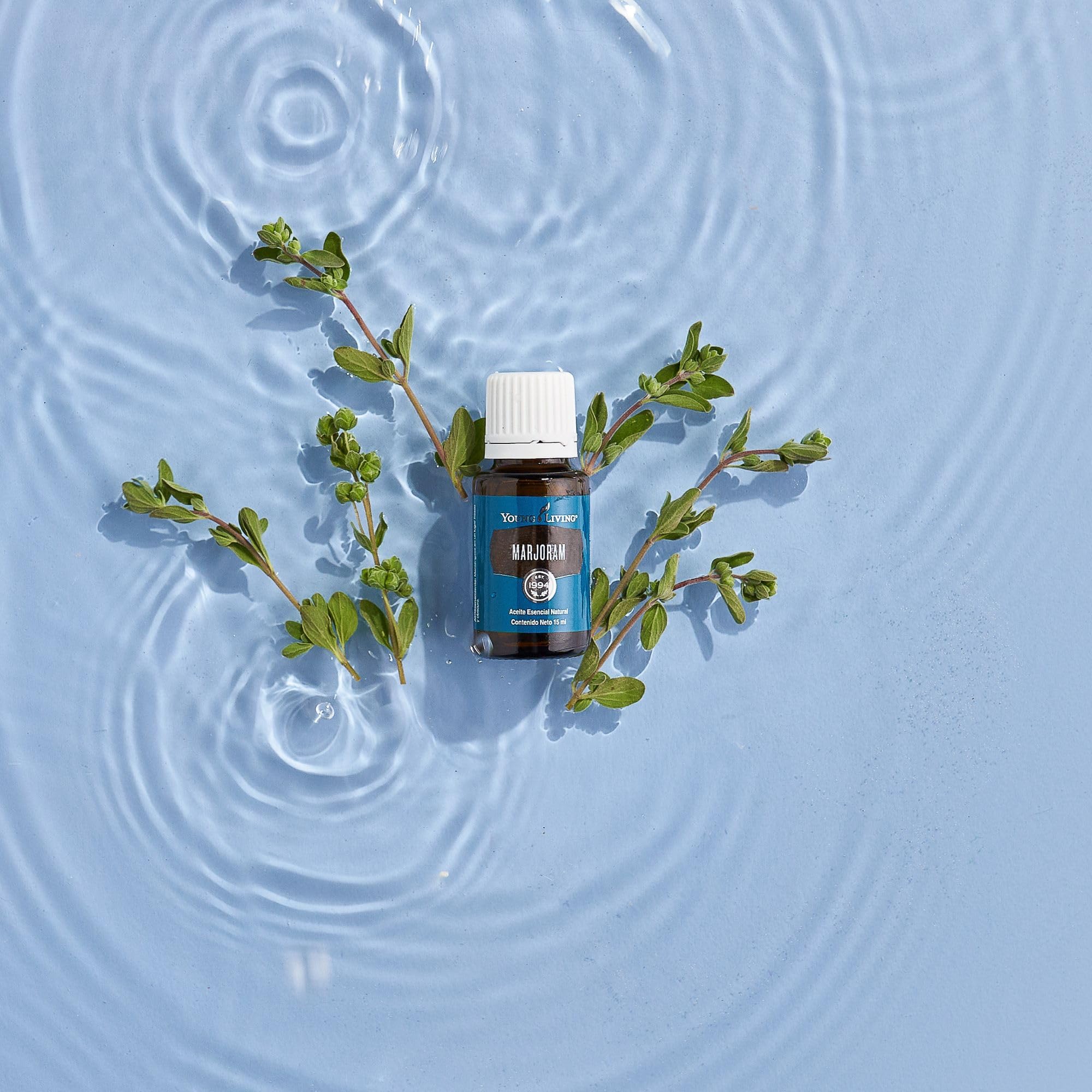 Young Living Mejorana masaje en cuerpo con aceite esencial diluido