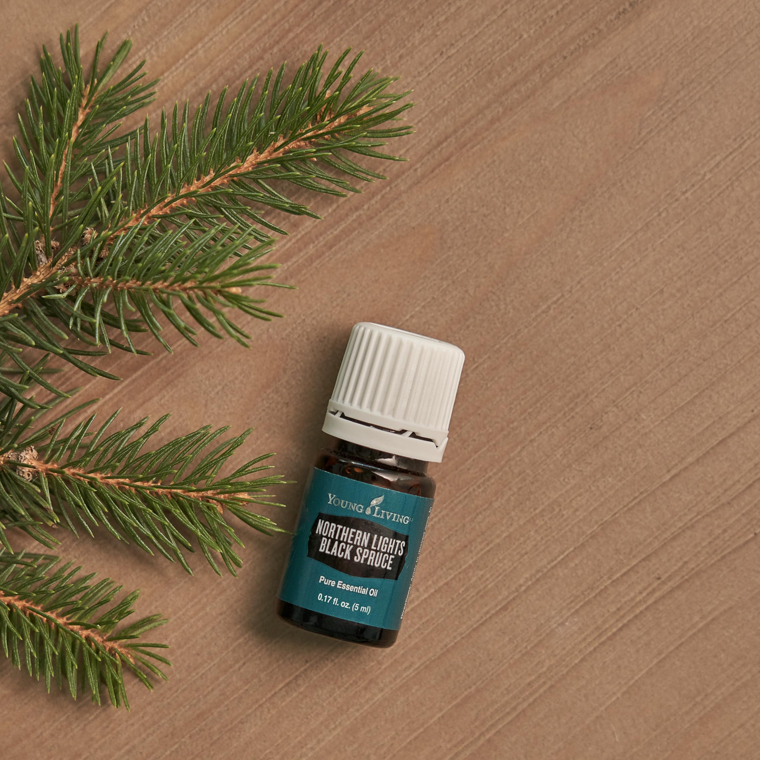 Young Living Northern Black Spruce aceite versátil para rituales de relajación.