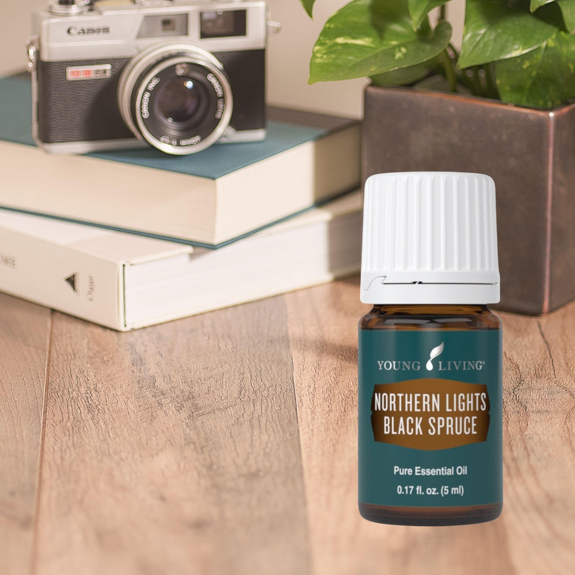 Young Living Northern Black Spruce aroma-terreno para difusor y ambiente sereno.