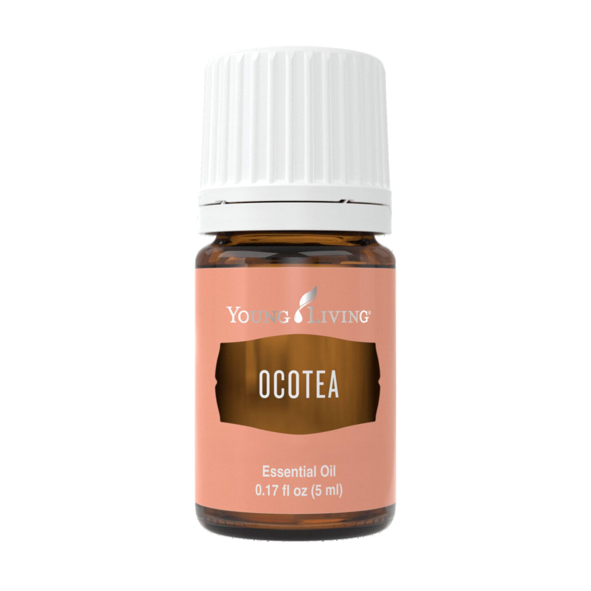 Young Living Ocotea, frasco de 5 ml, botella ideal para aromaterapia suave.